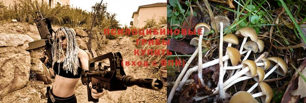 a pvp Баксан