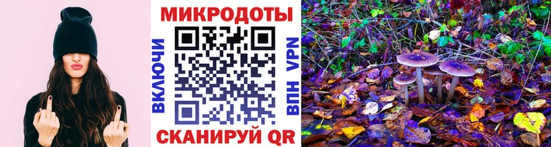 KRAKEN как зайти  Яблоновский  Псилоцибиновые грибы мицелий 